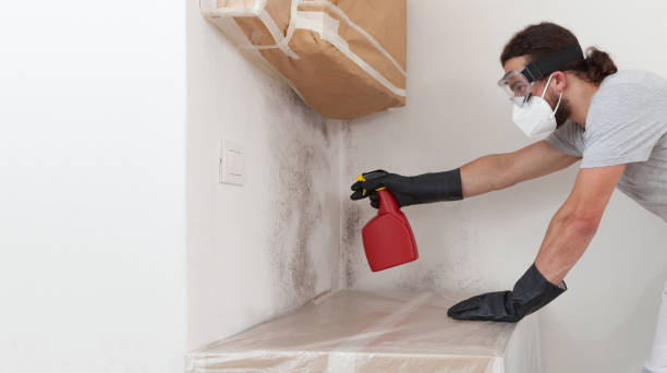 Professional Crawl Space Mold Remediation technician working in Lock Haven, PA