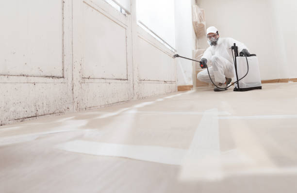 24/7 Emergency Crawl Space Mold Remediation experts in Lock Haven, PA