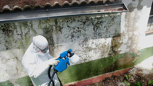 Top rated local Crawl Space Mold Remediation specialists in Lock Haven, PA